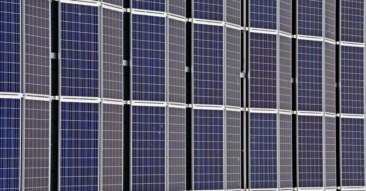 entdecken sie die bedeutung von nachhaltigkeit in der heutigen welt. erfahren sie, wie nachhaltige praktiken unsere umwelt schützen und eine bessere zukunft für kommende generationen sichern können.