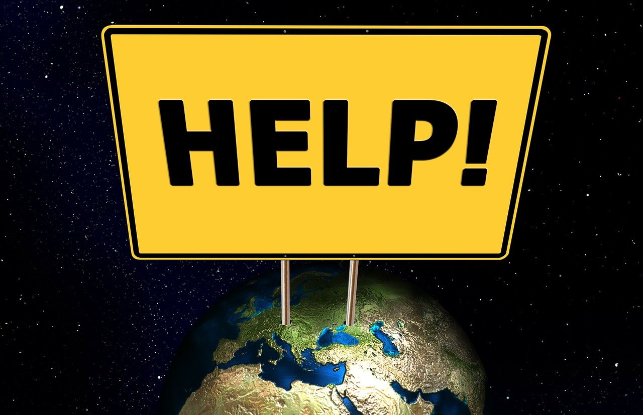 entdecken sie das verhalten von haustieren und erfahren sie, wie sie die körpersprache und die gewohnheiten ihrer vierbeinigen freunde besser verstehen können. tipps und ratschläge für ein harmonisches zusammenleben mit ihrem haustier.