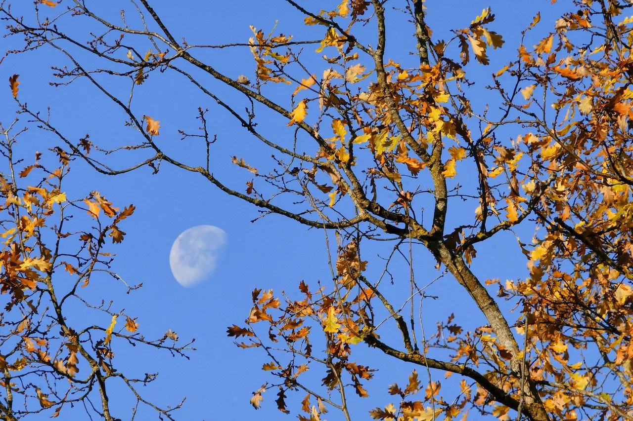 So schaffen sie einen positiven eindruck mit worten